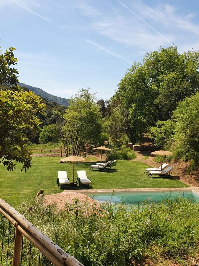 Nits De Bosc Pensionat Vilassar De Dalt Exteriör bild